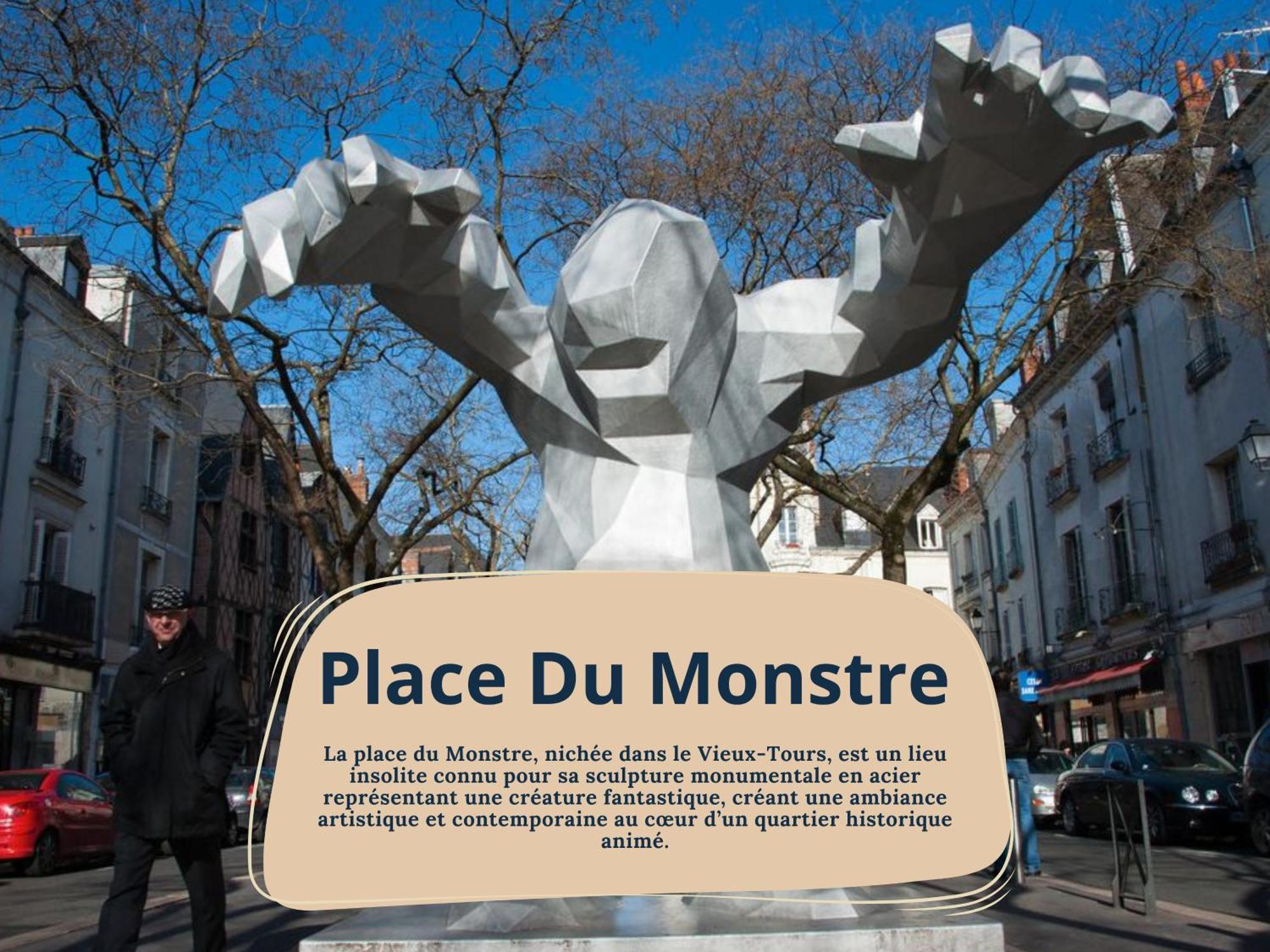 Begonia - Place Plumereau Tours Bagian luar foto